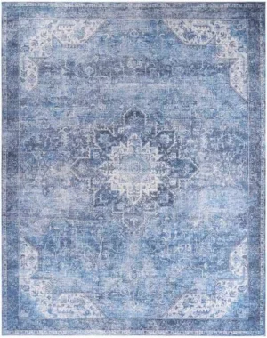 Nourison Washables NWB15 Blue Area Rug