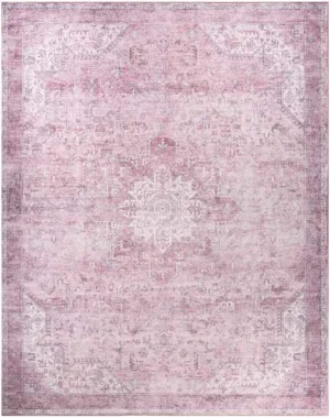 Nourison Washables NWB15 Pink Area Rug
